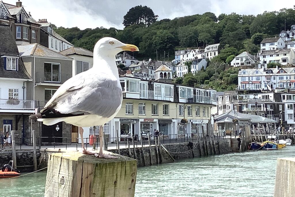 Looe Cornwall