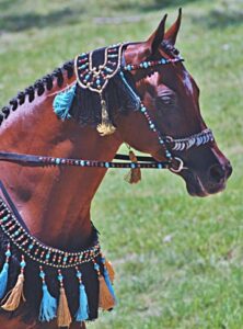 Horse Beads